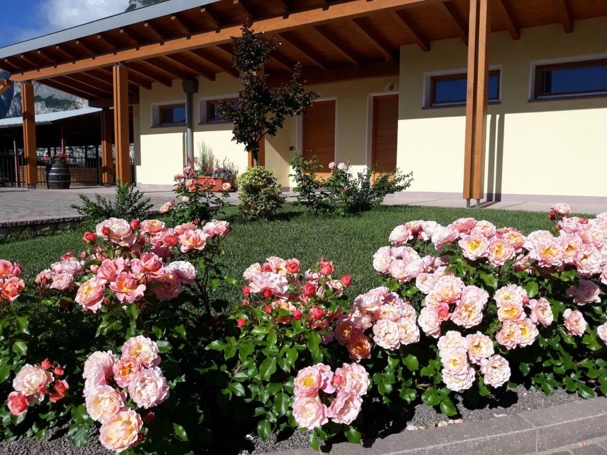 Agriturismo L' Isola Di Arturo Τρέντο Εξωτερικό φωτογραφία